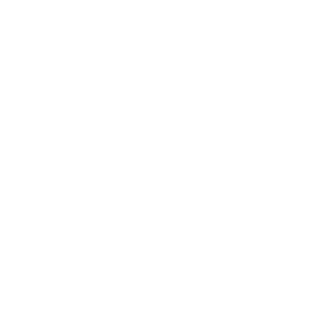 logo mandala